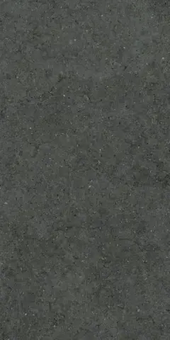 ФОРУМ СТОУН ПЕТРОЛ 60X120