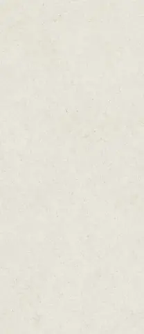 ФОРУМ СТОУН ПОЛАР 120X278
