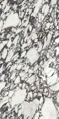 CALACATTA VIOLA NATURE 160X320(6)(A)