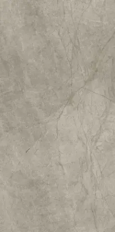 ПРИМА АЙРОН 60X120 СИЛК РЕТ