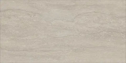 Oyster Vein Nv 12 Slim Rg Sq 60Х120 (CJP5)